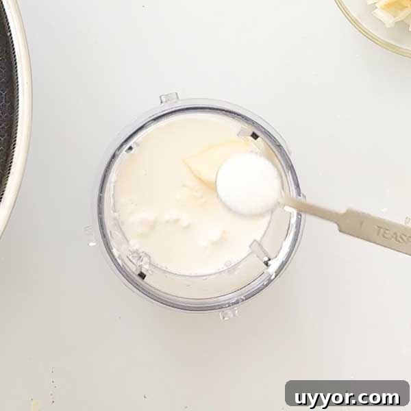 Cheese, milk, butter and salt being added to his blender cup.