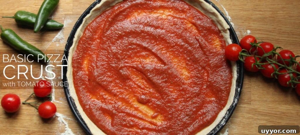 Homemade Pizza Dough Recipe for Crispy, Chewy Crust 2 Basic Pizza Crust
