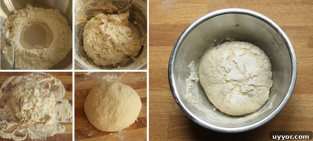 Homemade Pizza Dough Recipe for Crispy, Chewy Crust 4 Basic Pizza Crust