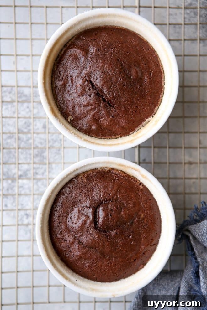 These individual chocolate cakes have a rich and gooey chocolate center!