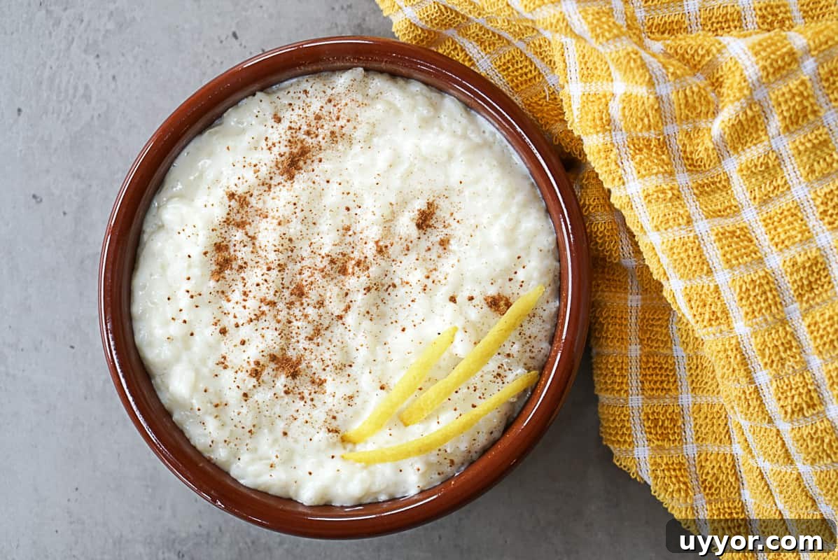 31 Must-Try Spanish Desserts to Savor Today 11 arroz con leche