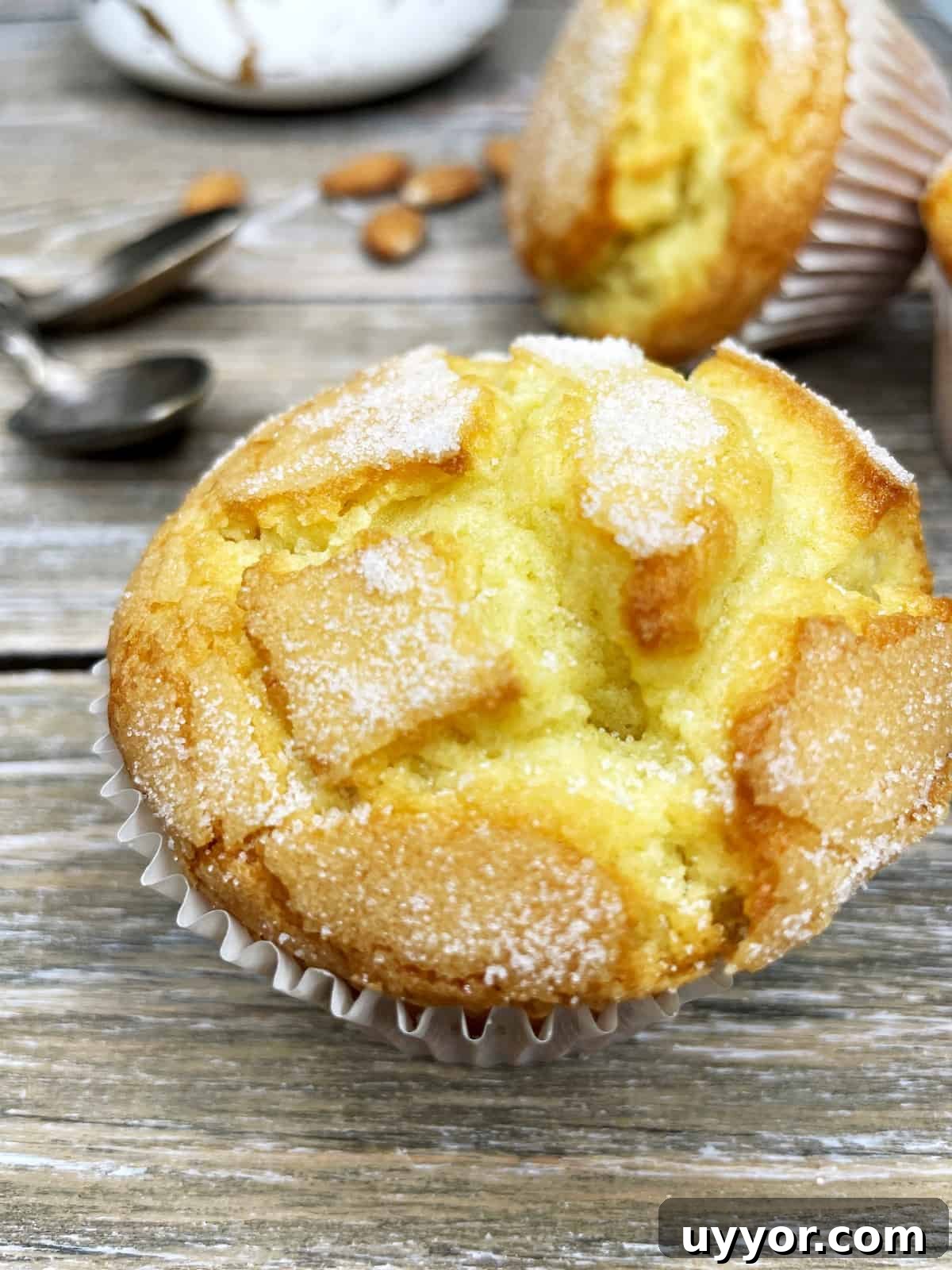 31 Must-Try Spanish Desserts to Savor Today 14 Spanish muffins