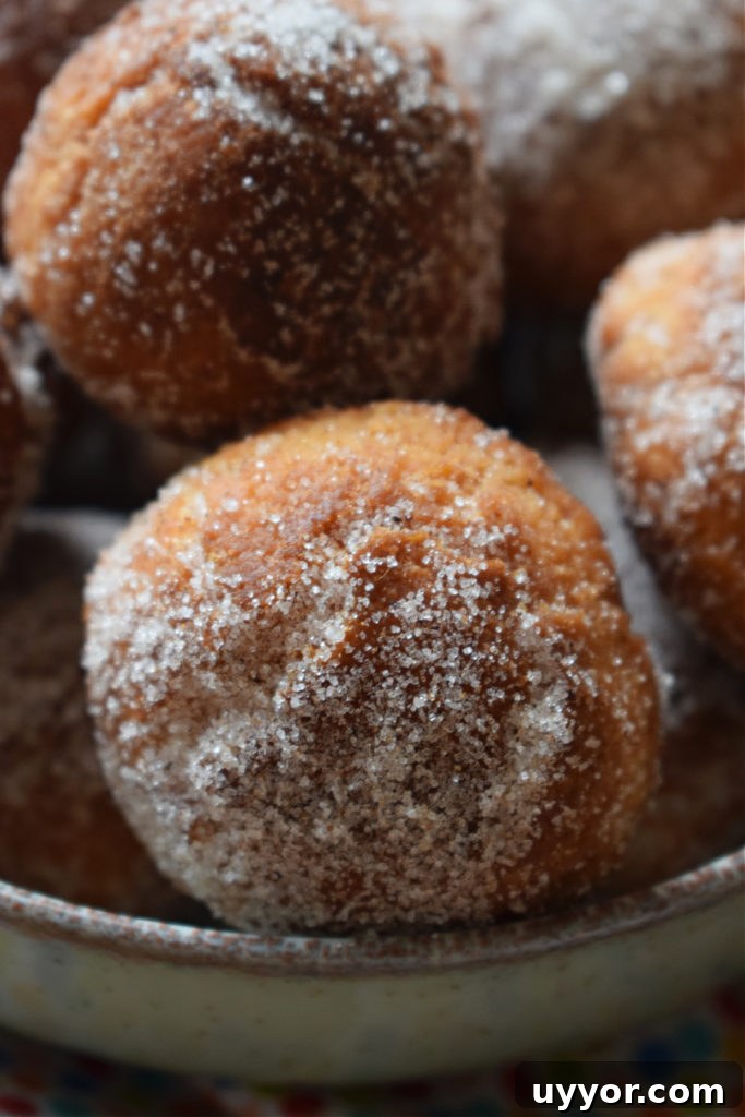 31 Must-Try Spanish Desserts to Savor Today 16 Bunuelos
