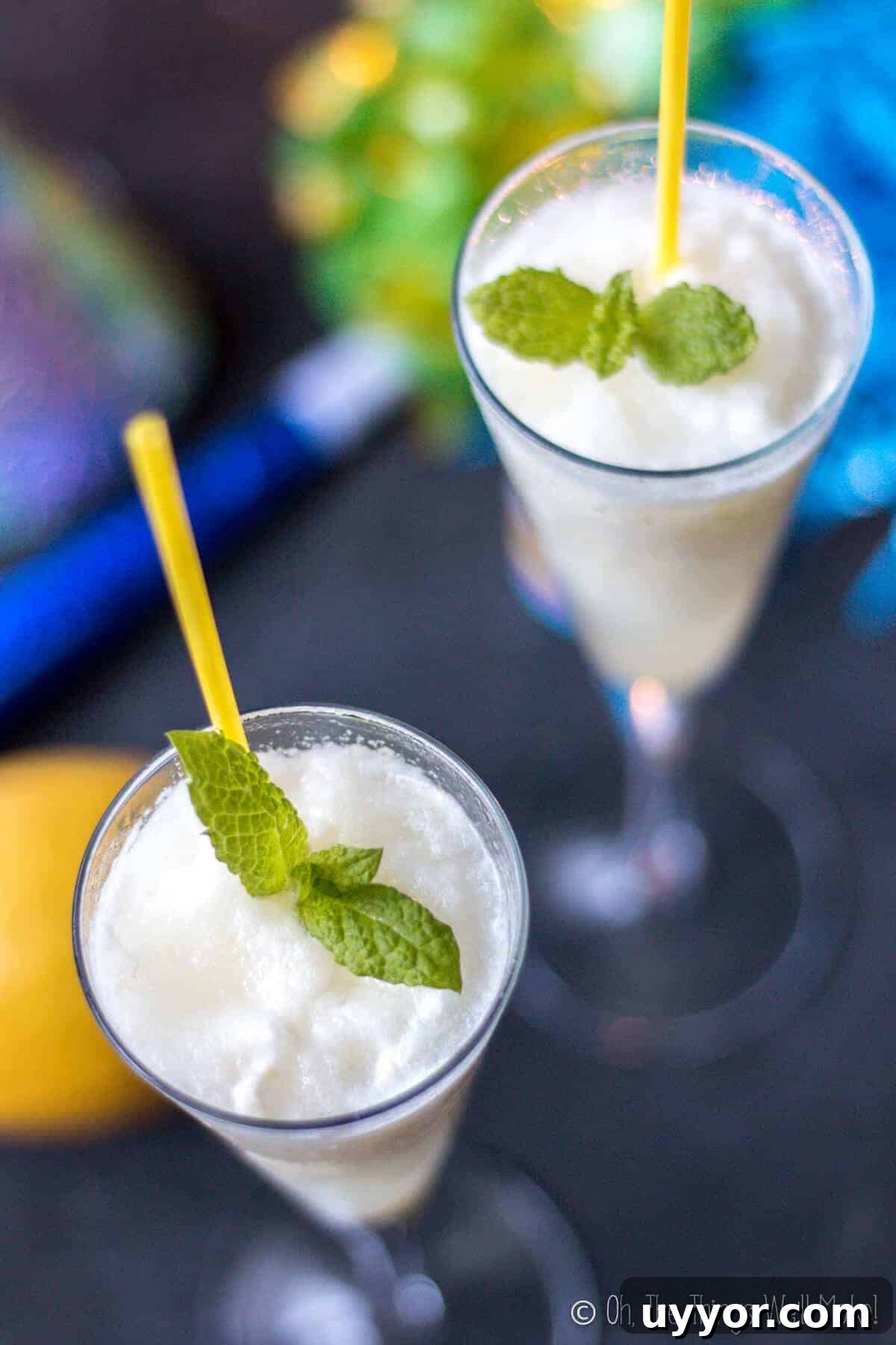 31 Must-Try Spanish Desserts to Savor Today 17 Lemon champagne sorbet