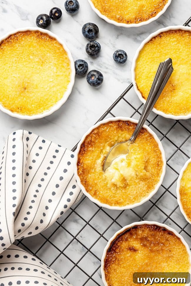 31 Must-Try Spanish Desserts to Savor Today 18 crema catalana