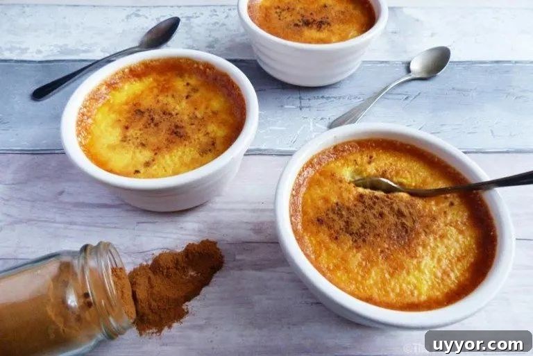 31 Must-Try Spanish Desserts to Savor Today 20 natillas