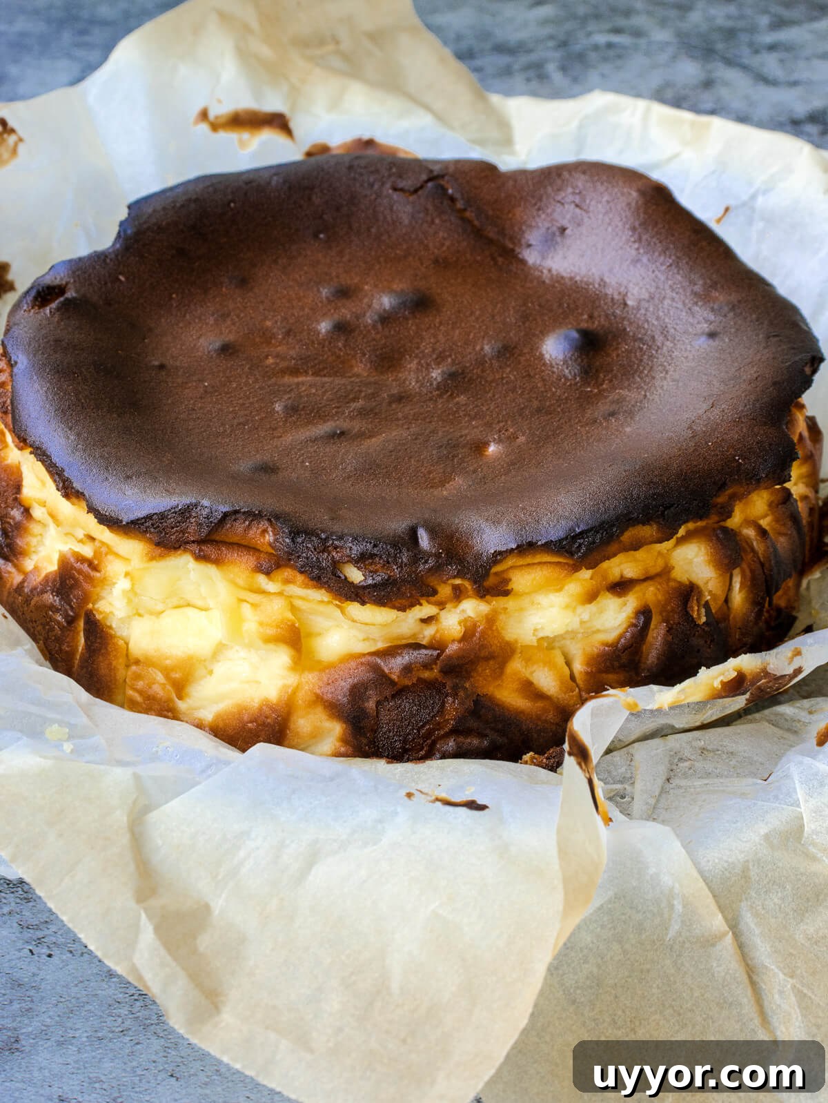 31 Must-Try Spanish Desserts to Savor Today 3 burnt basque cheesecake