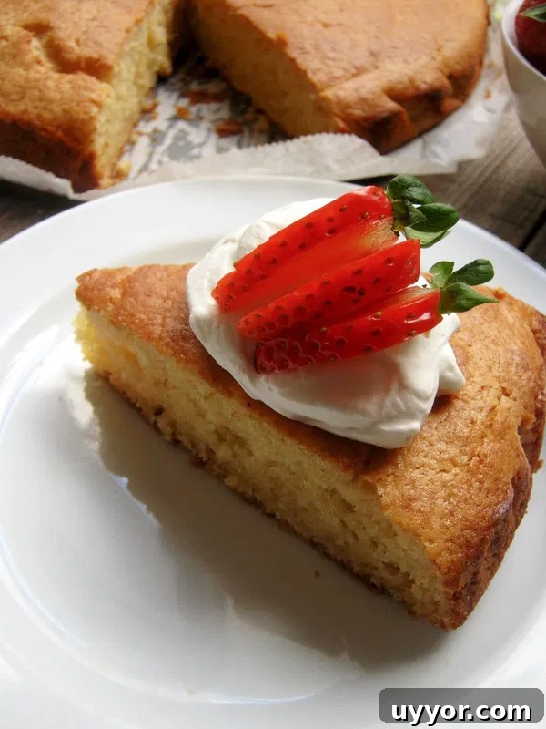 31 Must-Try Spanish Desserts to Savor Today 23 biscocho de yogurt