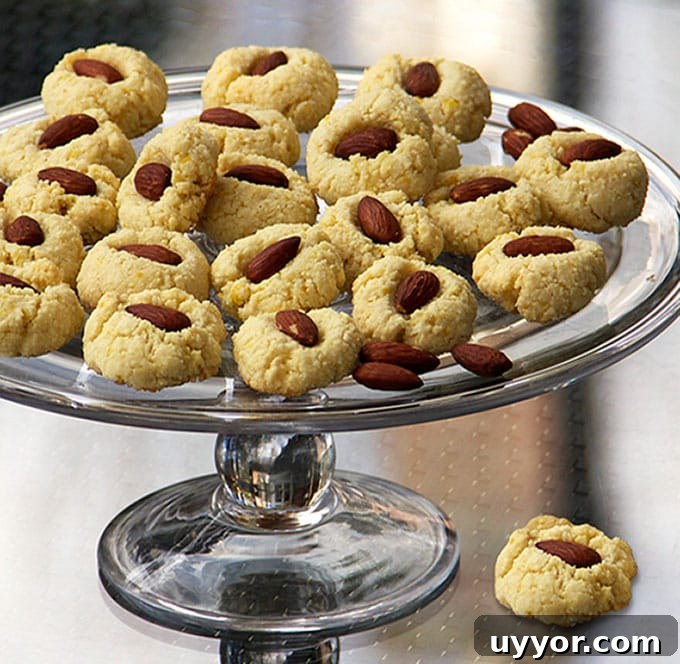 31 Must-Try Spanish Desserts to Savor Today 26 flourless almond cookies