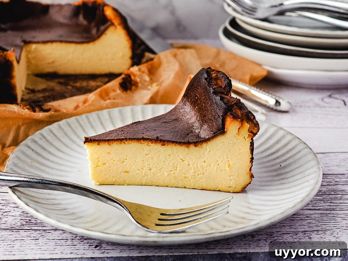31 Must-Try Spanish Desserts to Savor Today 5 san sebastian cheesecake