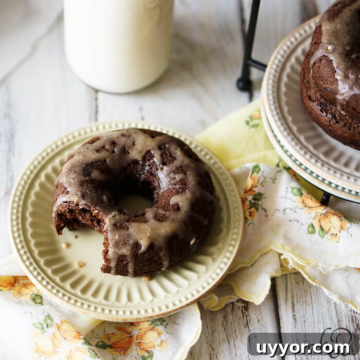 Chocolate Zucchini Donuts