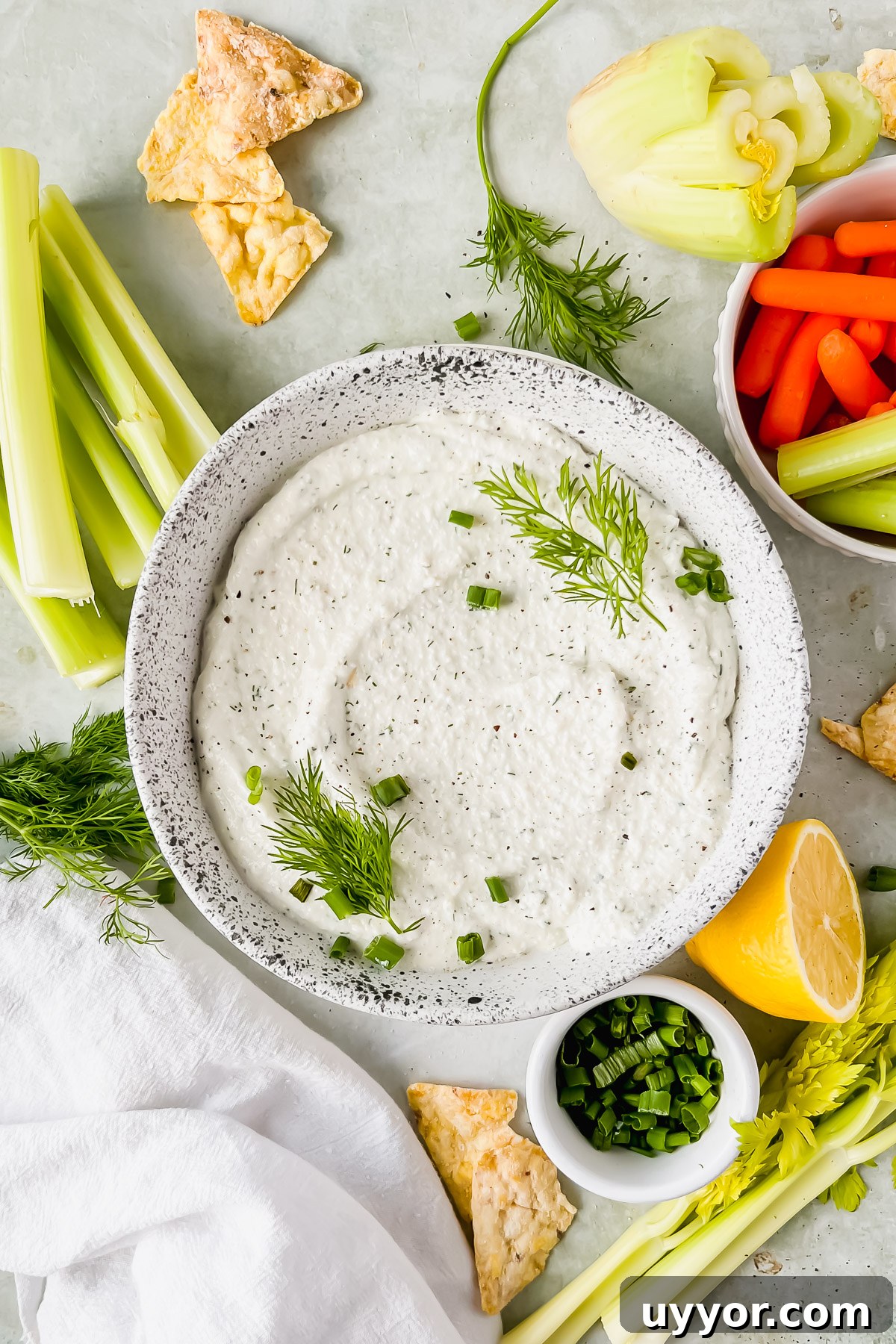 Creamy Cottage Cheese Dip for Chips: High-Protein Snack Recipe 6 cottage cheese chip dip in speckled white bowl garnished with fresh dill and green onions with chips and vegetables surrounding bowl.