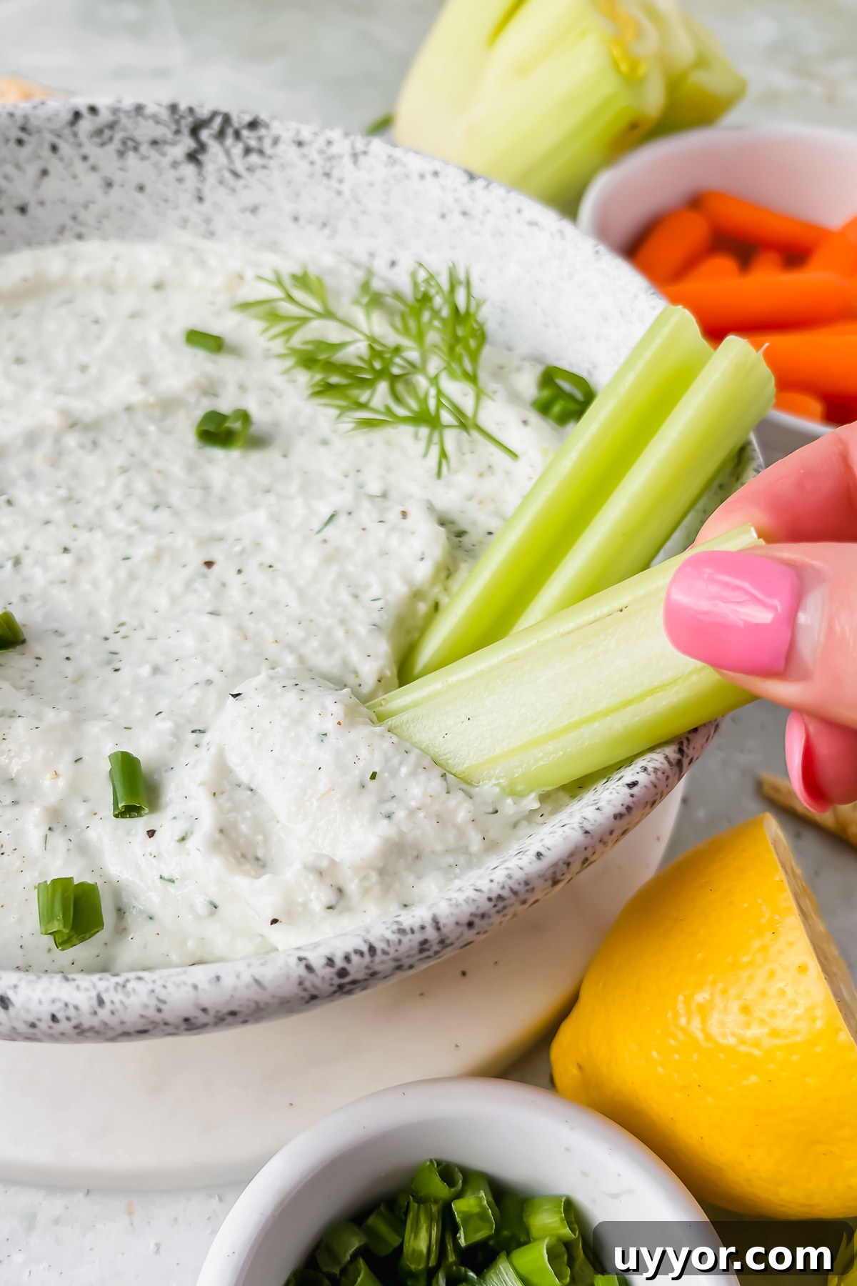Creamy Cottage Cheese Dip for Chips: High-Protein Snack Recipe 7 cottage cheese chip dip in speckled white bowl with celery stick dipped in.