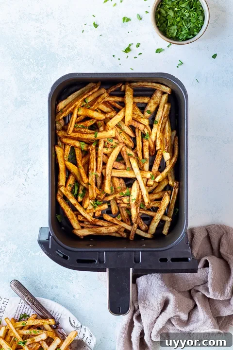 Air Fryer Cooking Times UK: Quick Guide by Food Type 9 An air fryer basket filled with air fried fries