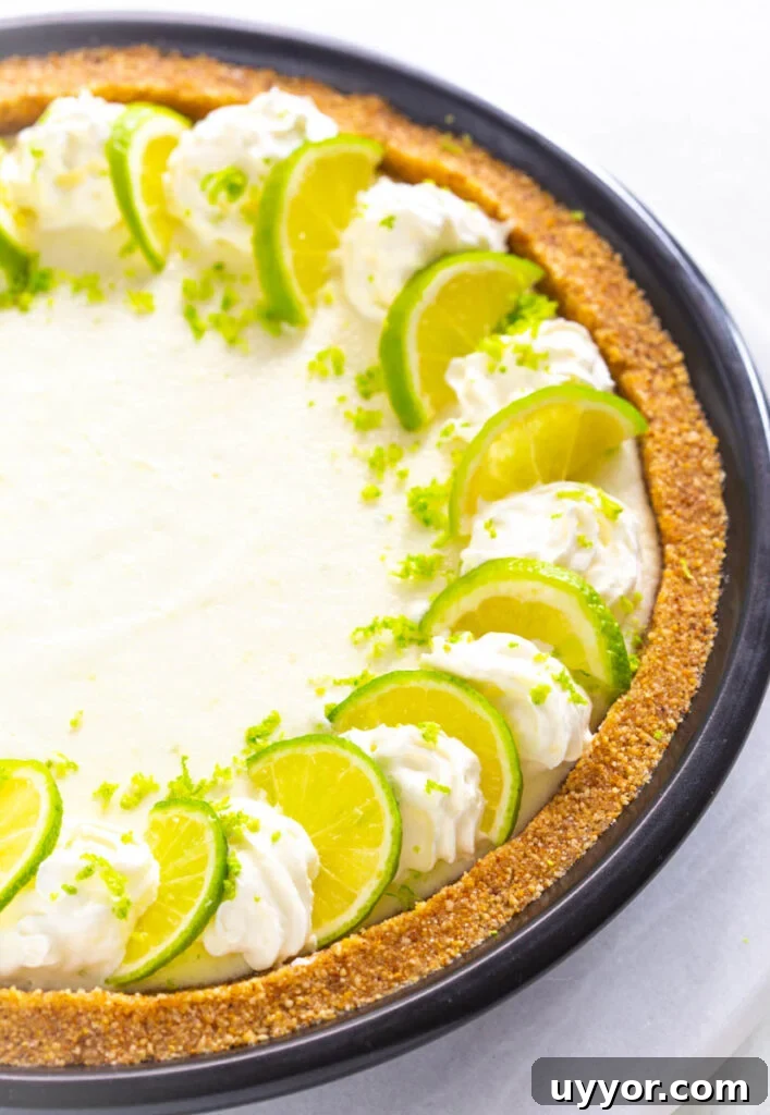 keto low carb key lime on a white plate with fresh key limes