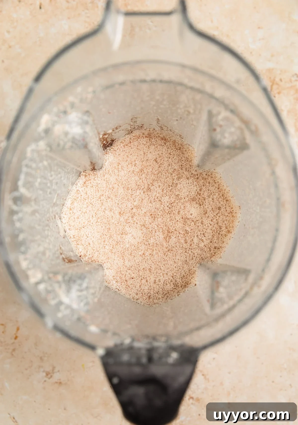 Blended apples, cinnamon, eggs, milk in blender.