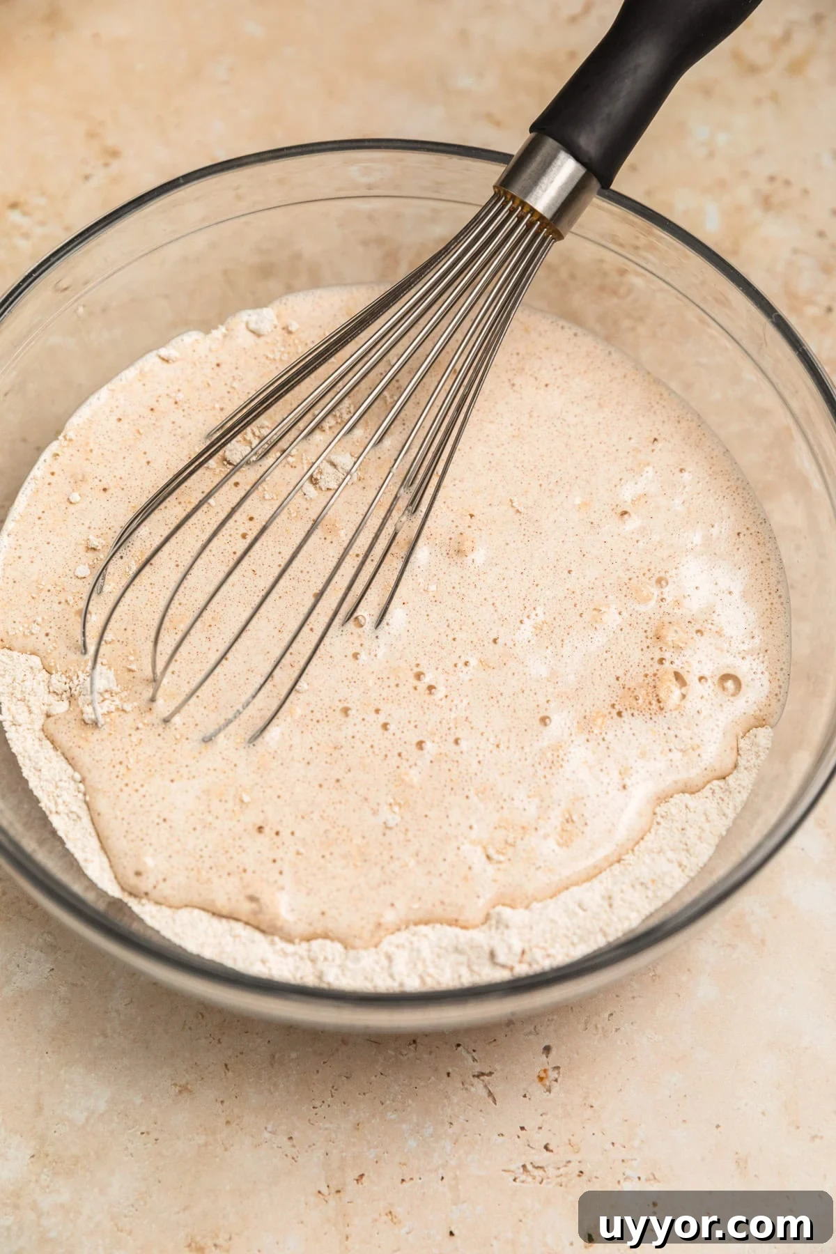 Wet and dry ingredients added to mixing bowl with whisk.