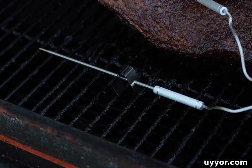Probe in grill clip