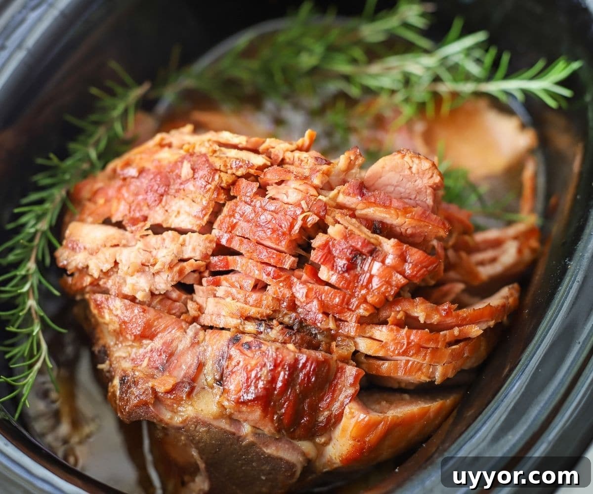 Slow-Cooker Ham Recipe: Tender, Juicy Crock Pot Ham Tutorial 2 ham cooked in the crock pot