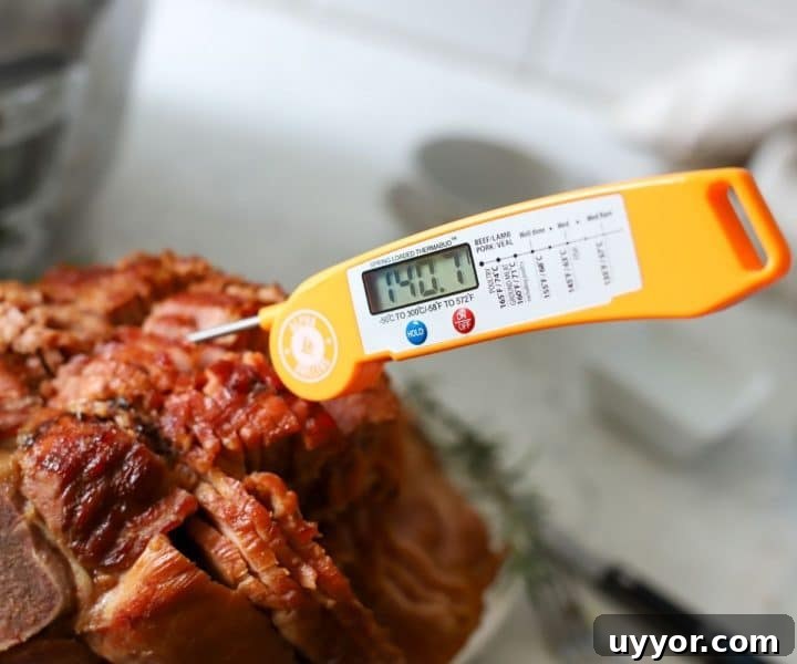 Slow-Cooker Ham Recipe: Tender, Juicy Crock Pot Ham Tutorial 6 meat thermometer 140 degrees