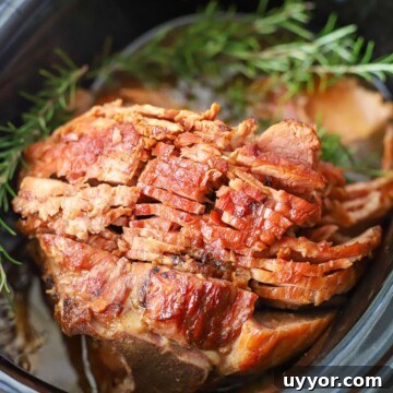Slow-Cooker Ham Recipe: Tender, Juicy Crock Pot Ham Tutorial 10 ham in the slow cooker