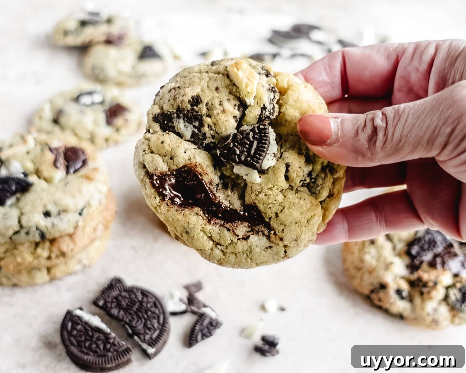Freshly baked Oreo and cream cookie.