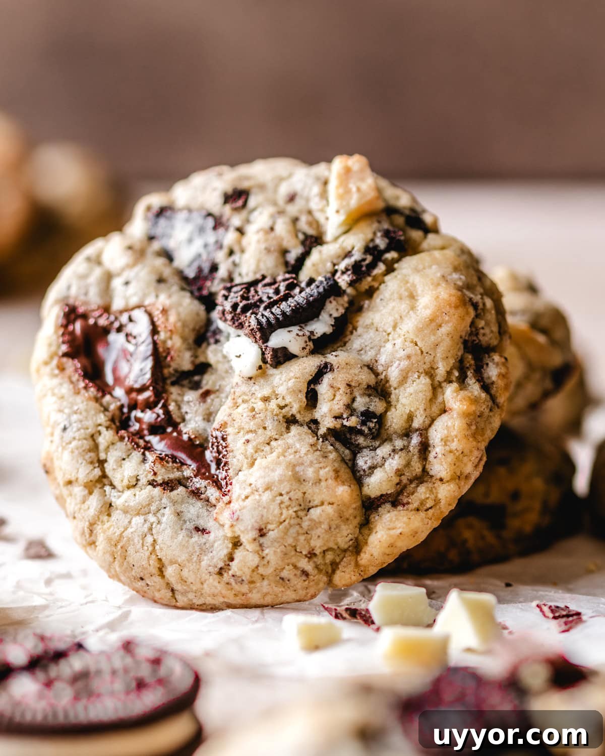 Large chewy Oreo chocolate chip cookie.