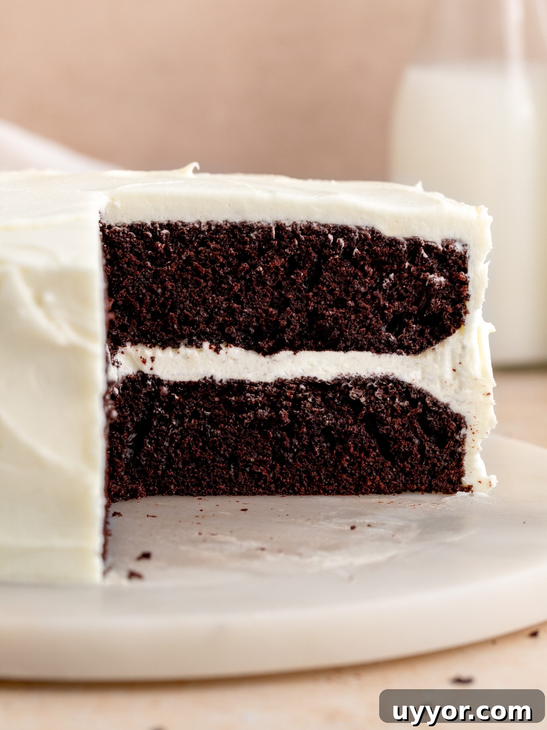 Decadent Chocolate Cake with Cream Cheese Frosting Recipe 2 Chocolate cake with cream cheese frosting on a cake stand