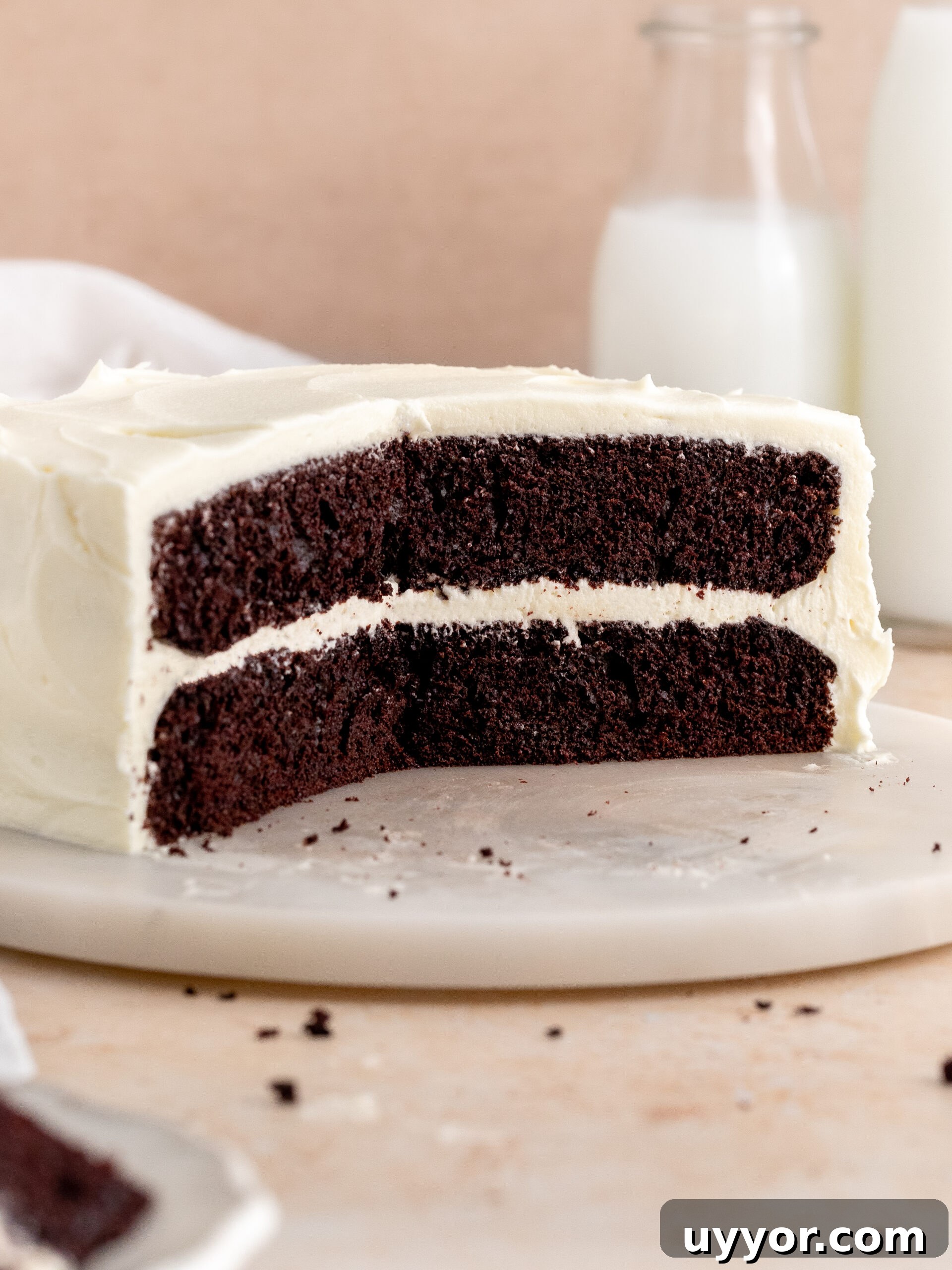 Decadent Chocolate Cake with Cream Cheese Frosting Recipe 11 Chocolate cake with cream cheese frosting on a cake stand