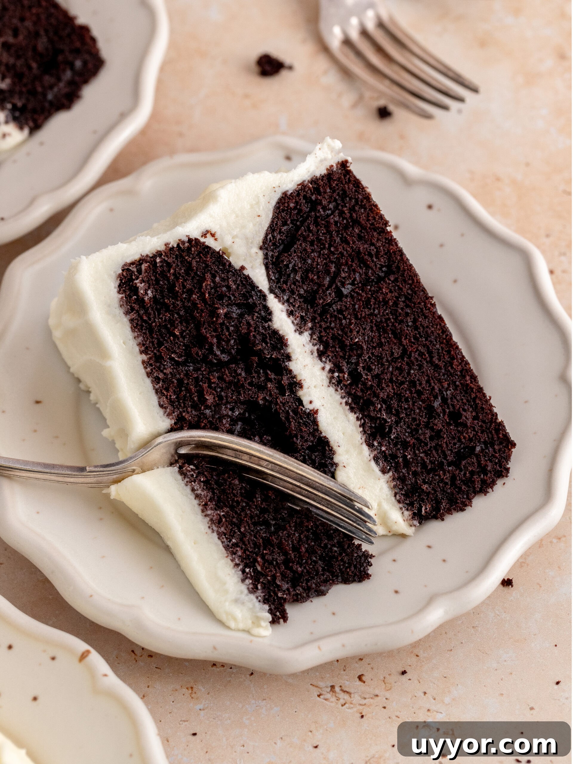 Decadent Chocolate Cake with Cream Cheese Frosting Recipe 12 A slice of chocolate cake with cream cheese frosting on a plate.