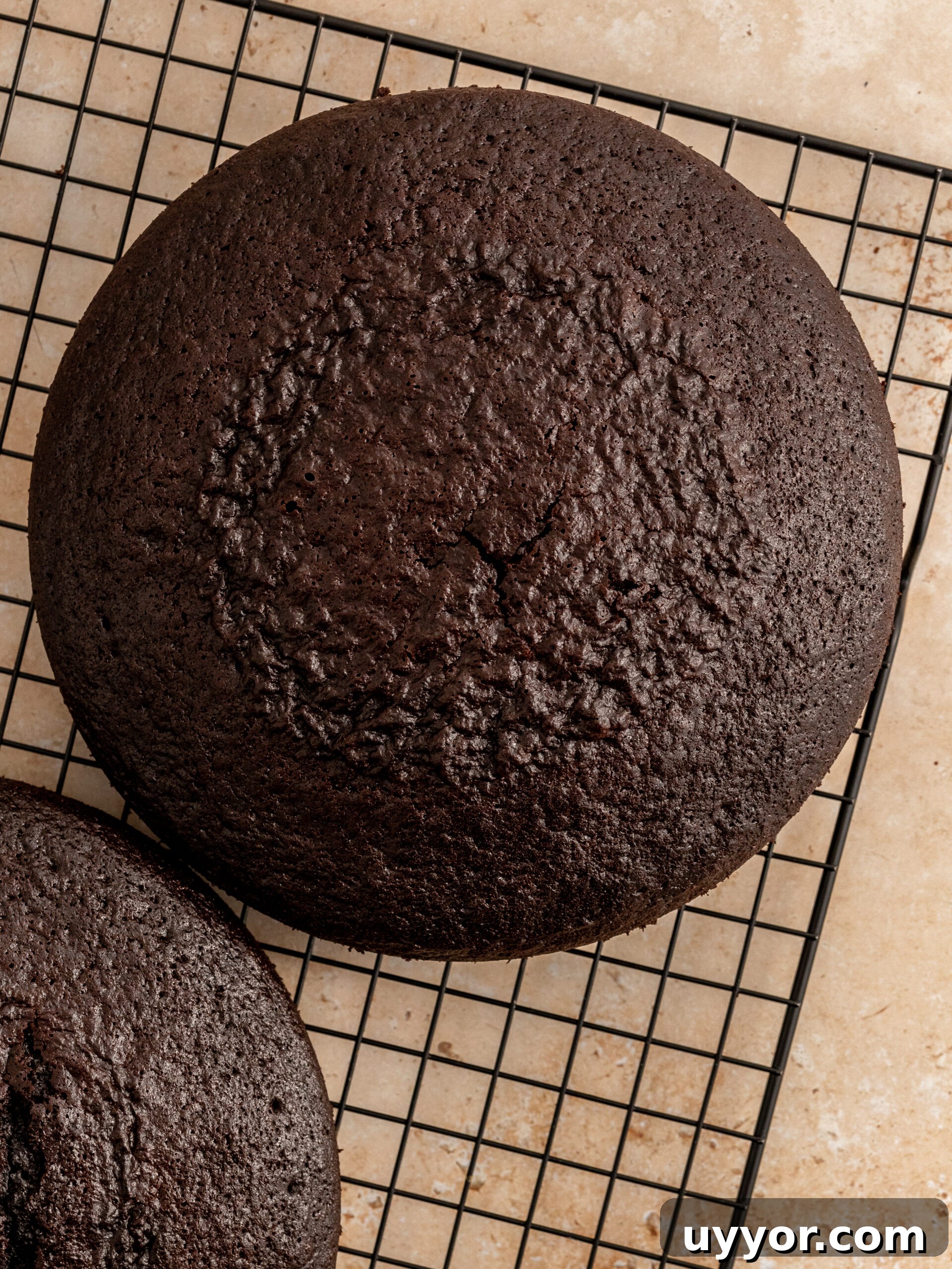Decadent Chocolate Cake with Cream Cheese Frosting Recipe 8 The finished baked cake layer cooling down on a cooling rack.