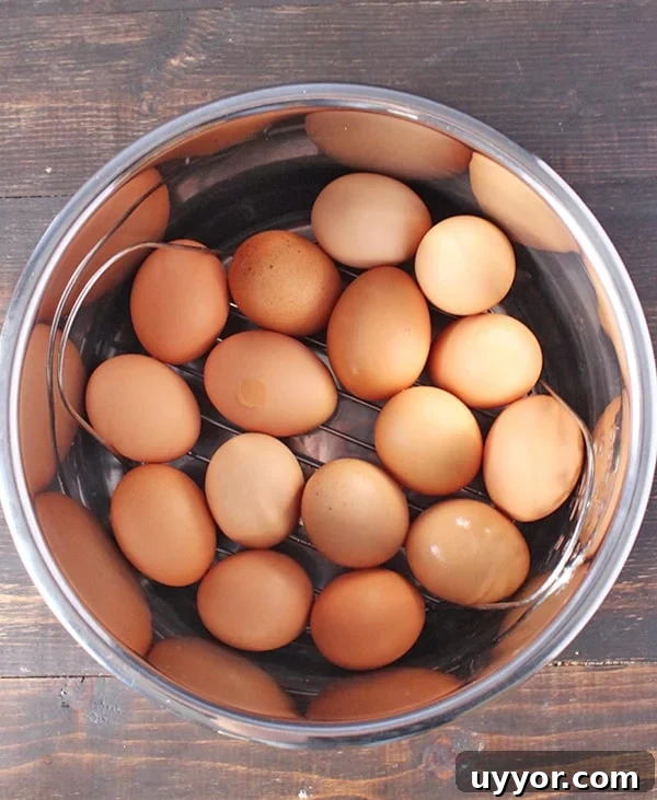 Perfect Hard-Boiled Eggs in the Instant Pot: Quick Guide 3 Instant Pot Hard Boiled Eggs