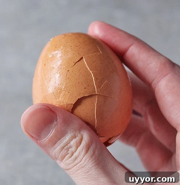 Perfect Hard-Boiled Eggs in the Instant Pot: Quick Guide 5 Instant Pot Hard Boiled Eggs