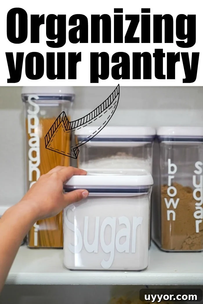 DIY Home Organization Binder: Create a Simple System for Every Room 3 pantry containers