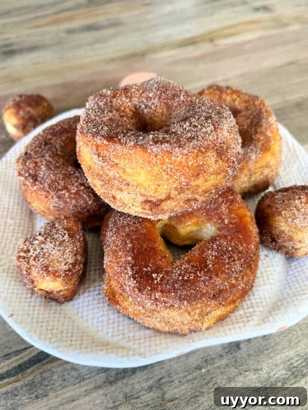 Pumpkin Spice Air Fryer Biscuts Donuts -> wait that's not allowed. Must only final title. Provide optimized under 65 chars. Avoid words like easy, best, healthy. Natural & clickable. Possible: Air Fryer Pumpkin Spice Biscuit Donuts That's 34 chars. Good. 2 img 32111 1