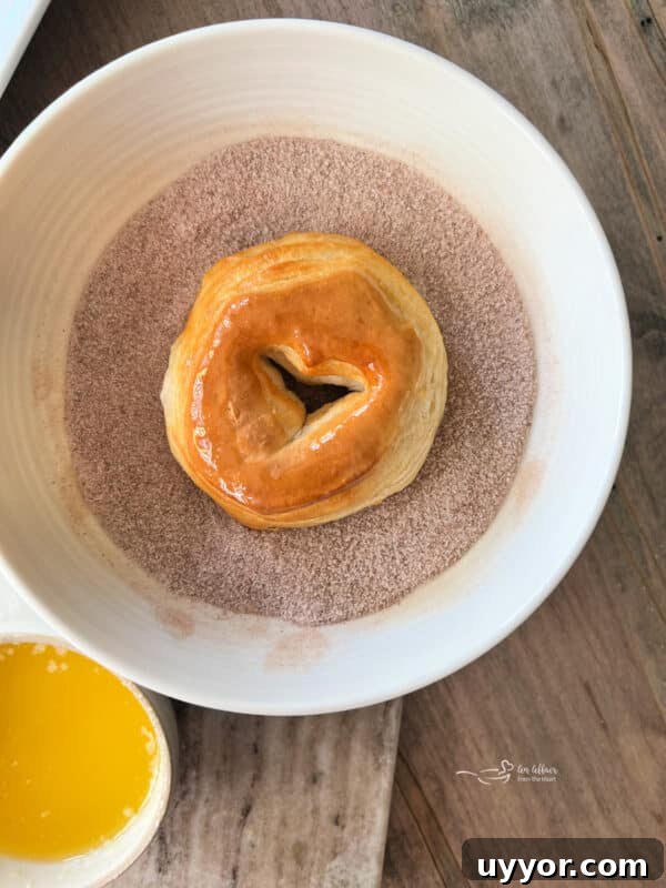 Pumpkin Spice Air Fryer Biscuts Donuts -> wait that's not allowed. Must only final title. Provide optimized under 65 chars. Avoid words like easy, best, healthy. Natural & clickable. Possible: Air Fryer Pumpkin Spice Biscuit Donuts That's 34 chars. Good. 11 img 32111 10