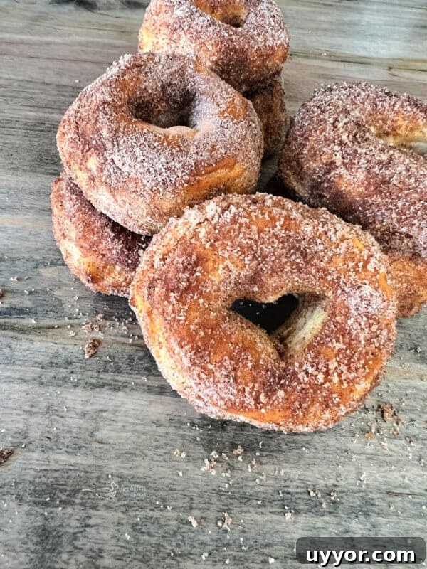 Pumpkin Spice Air Fryer Biscuts Donuts -> wait that's not allowed. Must only final title. Provide optimized under 65 chars. Avoid words like easy, best, healthy. Natural & clickable. Possible: Air Fryer Pumpkin Spice Biscuit Donuts That's 34 chars. Good. 12 img 32111 11