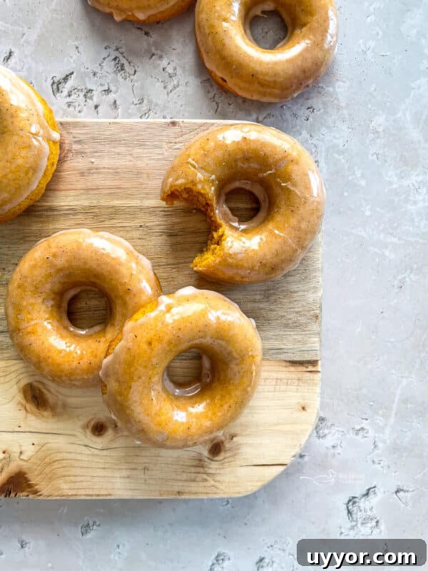 Pumpkin Spice Air Fryer Biscuts Donuts -> wait that's not allowed. Must only final title. Provide optimized under 65 chars. Avoid words like easy, best, healthy. Natural & clickable. Possible: Air Fryer Pumpkin Spice Biscuit Donuts That's 34 chars. Good. 13 img 32111 14