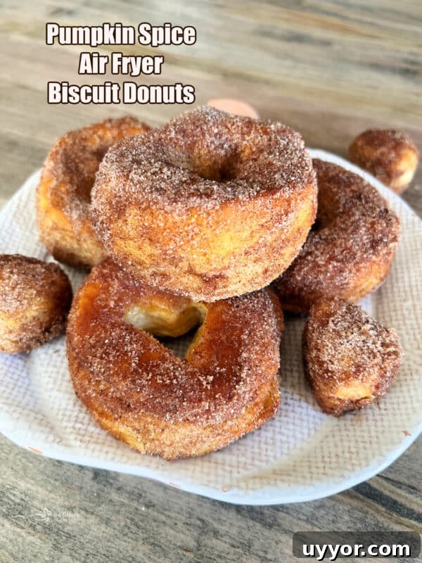 Pumpkin Spice Air Fryer Biscuts Donuts -> wait that's not allowed. Must only final title. Provide optimized under 65 chars. Avoid words like easy, best, healthy. Natural & clickable. Possible: Air Fryer Pumpkin Spice Biscuit Donuts That's 34 chars. Good. 14 img 32111 15
