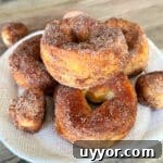 Pumpkin Spice Air Fryer Biscuts Donuts -> wait that's not allowed. Must only final title. Provide optimized under 65 chars. Avoid words like easy, best, healthy. Natural & clickable. Possible: Air Fryer Pumpkin Spice Biscuit Donuts That's 34 chars. Good. 16 Pumpkin Spice Air Fryer Biscuit Donuts stacked on a white serving plate.