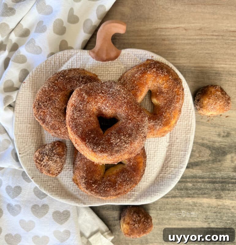 Pumpkin Spice Air Fryer Biscuts Donuts -> wait that's not allowed. Must only final title. Provide optimized under 65 chars. Avoid words like easy, best, healthy. Natural & clickable. Possible: Air Fryer Pumpkin Spice Biscuit Donuts That's 34 chars. Good. 3 img 32111 2