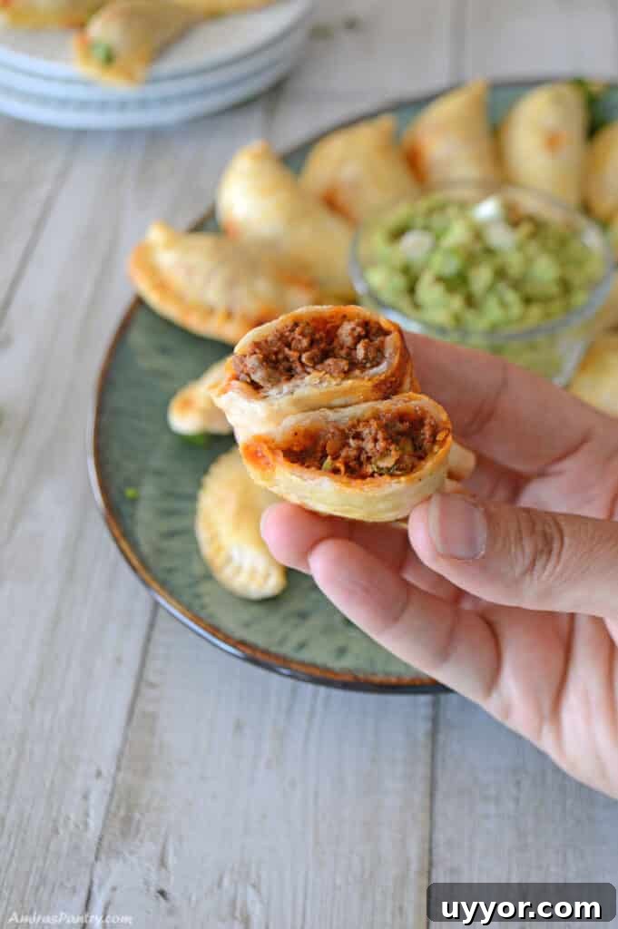 83-Recipe Meal Plan: Weekly Menus for Every Diet 4 A hand holding a piece of beef empanada cut in half.