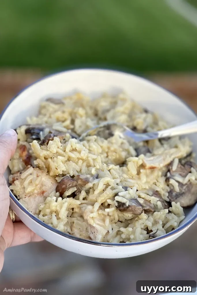 83-Recipe Meal Plan: Weekly Menus for Every Diet 7 A hand holding a bowl of cracker barrel chicken and rice in a garden.