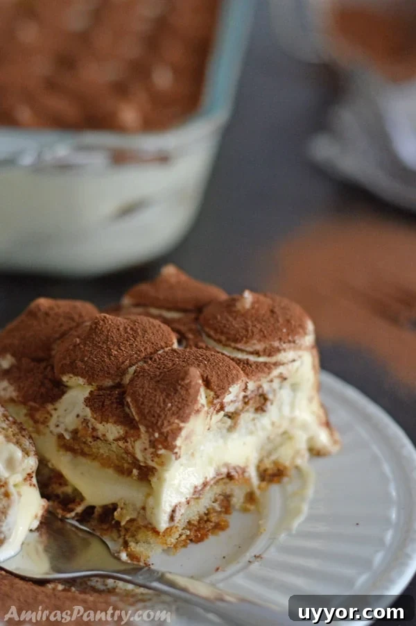 83-Recipe Meal Plan: Weekly Menus for Every Diet 8 Tiramisu on a plate.