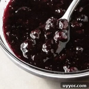 Fresh Blueberry Compote Recipe for Yogurt, Pancakes & Desserts 7 img 32296 6