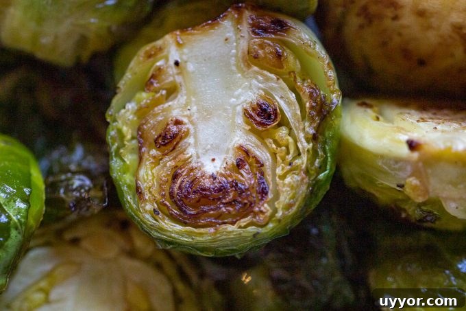 Crispy Traeger Grilled Brussels Sprouts Recipe 6 img 32445 5