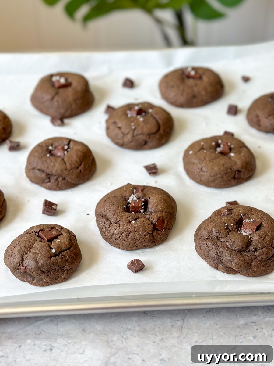 Espresso Chocolate Chunk Cookies Recipe for Rich, Crispy Bites 2 Easy Espresso Chocolate Chunk Cookie Recipe