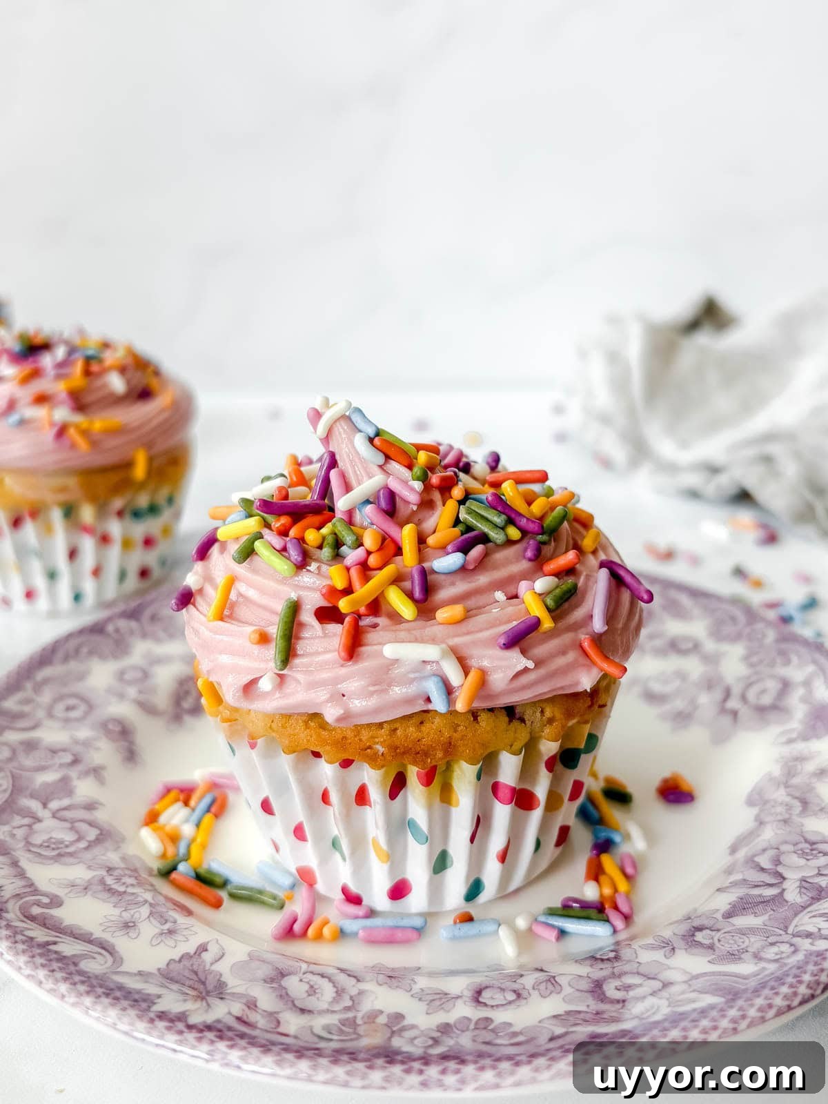 Mini Funfetti Cupcakes: Small-Batch Party Recipe for 12 2 Small batch funfetti cupcake on a plate.
