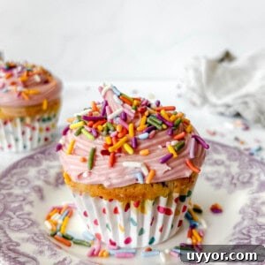 Mini Funfetti Cupcakes: Small-Batch Party Recipe for 12 18 Small batch funfetti cupcake on a plate.