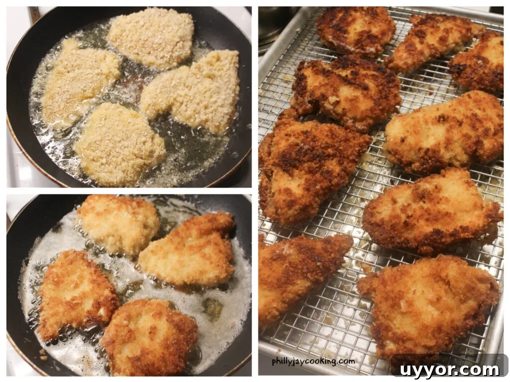 Parmesan crusted chicken recipe